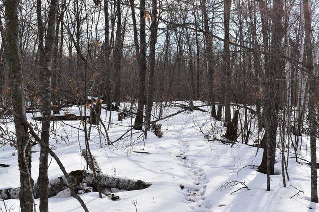 42810 County Highway 26, Rochert, MN 56578