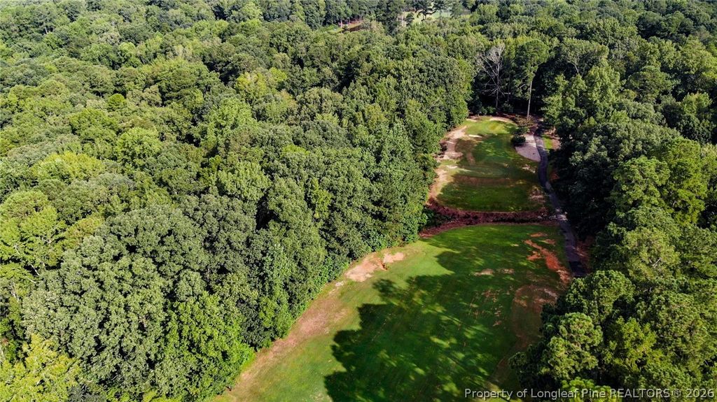 3085 Fairway Woods, Sanford, NC 27332 — photo 10