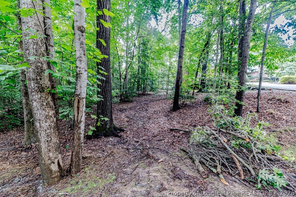 3085 Fairway Woods, Sanford, NC 27332 — photo 5