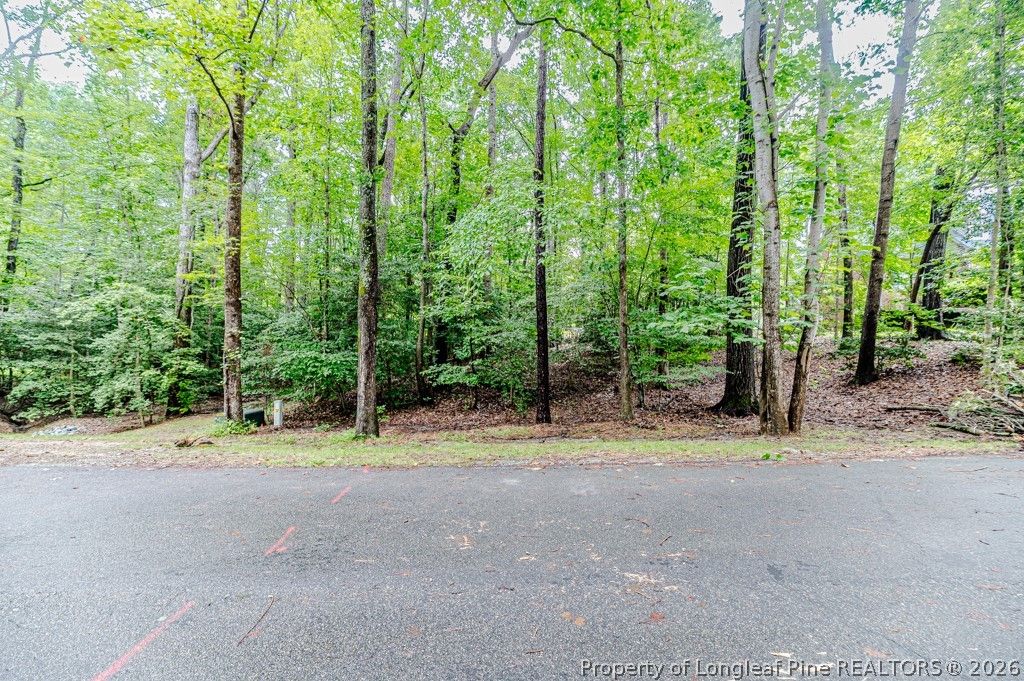 3085 Fairway Woods, Sanford, NC 27332 — photo 6