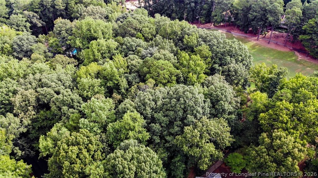 3085 Fairway Woods, Sanford, NC 27332 — photo 7
