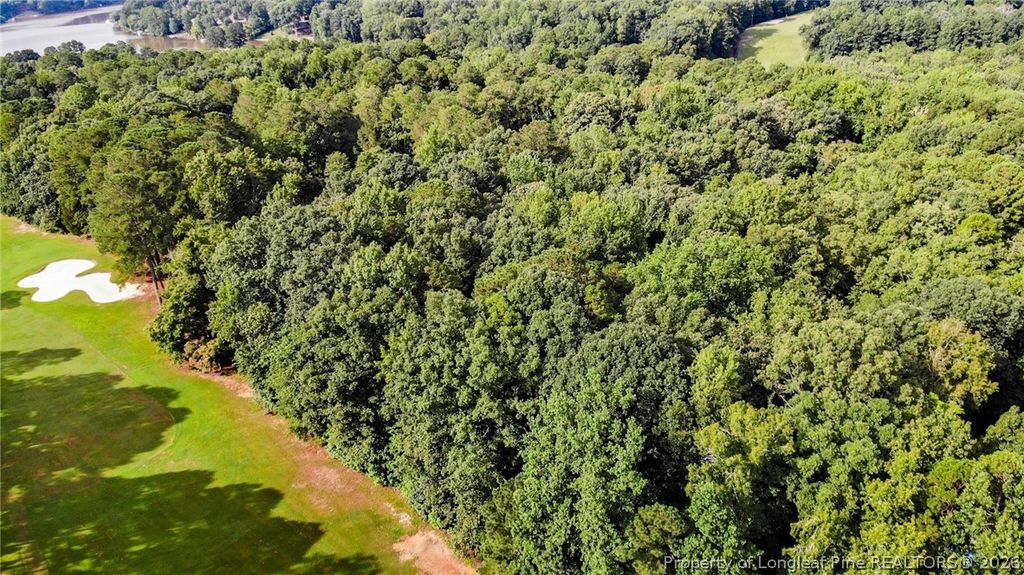 3085 Fairway Woods, Sanford, NC 27332 — photo 9