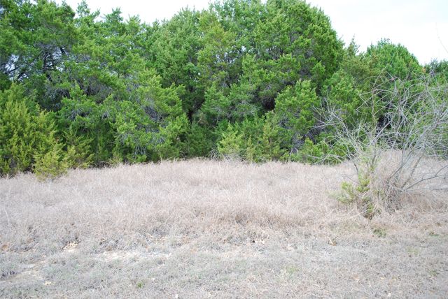 43111 Indian Blanket Drive, Whitney, TX 76692