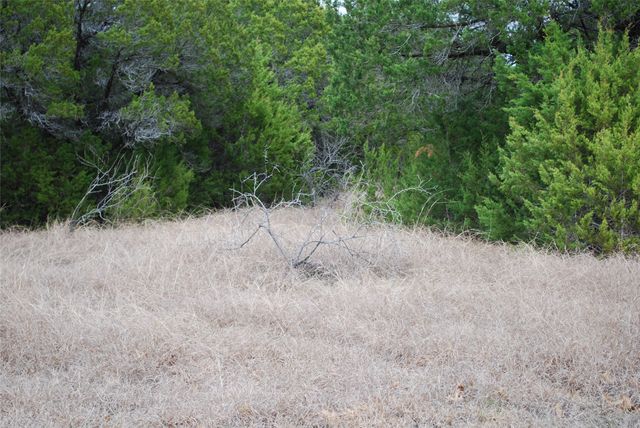 43111 Indian Blanket Drive, Whitney, TX 76692