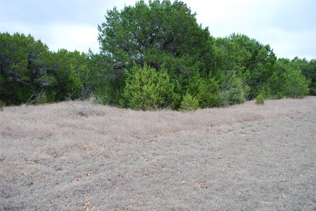 43111 Indian Blanket Drive, Whitney, TX 76692