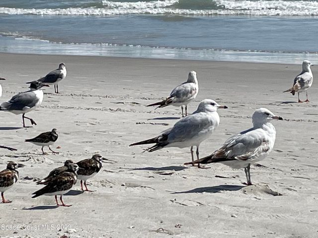 2924 Pebble Creek Street, Melbourne, FL 32935