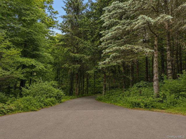 117 Camp Road, Red Hook, NY 12571