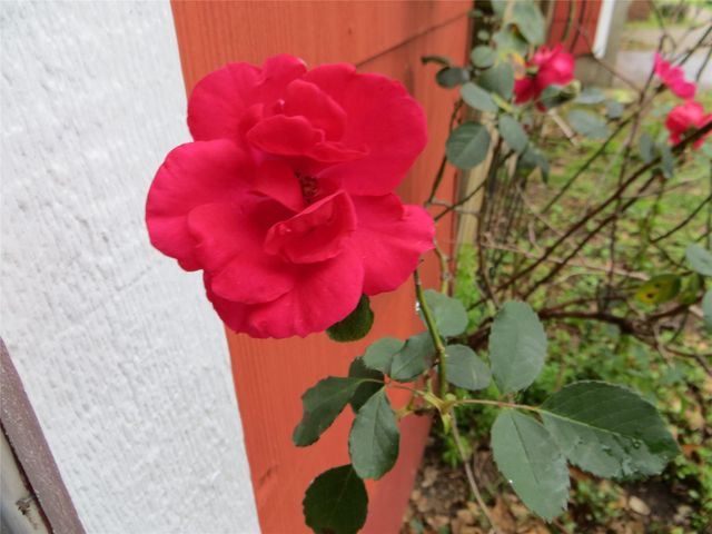 5807 Avenue D, Sheridan, TX 77475