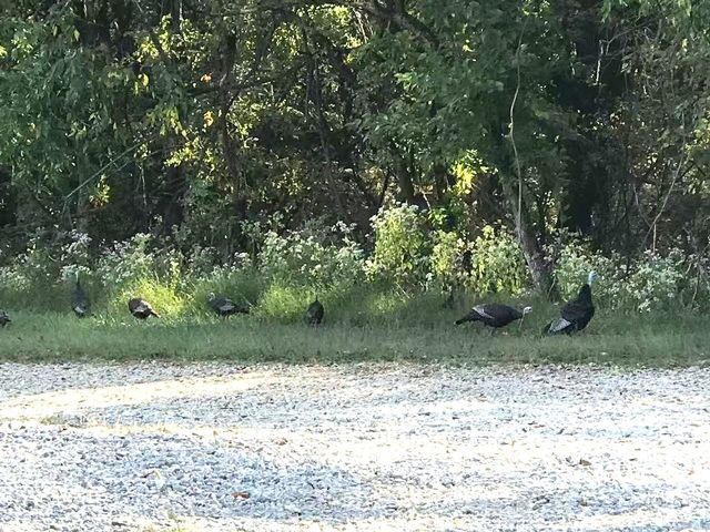 2617 Fayetteville Hwy, Belfast, TN 37019