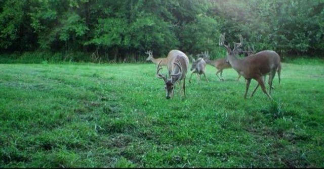 2617 Fayetteville Hwy, Belfast, TN 37019