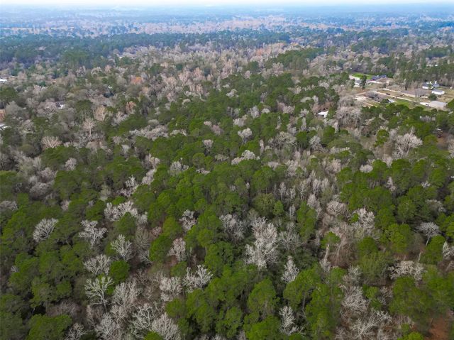 0 Colette St Street, Magnolia, TX 77355