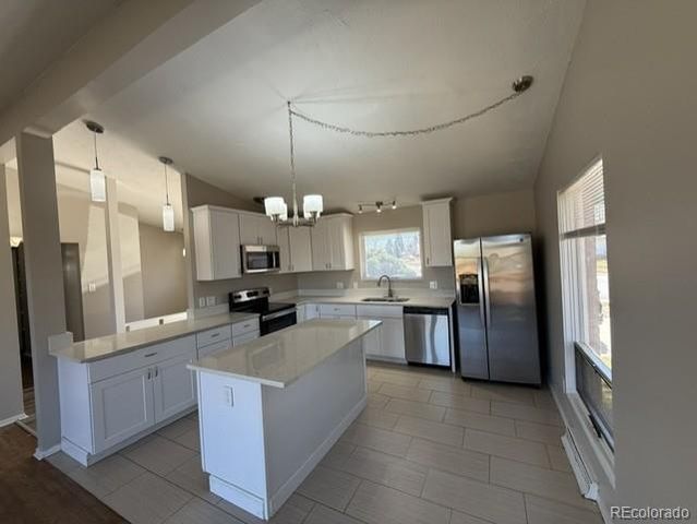 5674 W Chestnut Avenue, Littleton, CO 80128