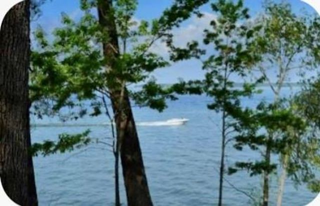 TR 29 Oak Pine Drive, Livingston, TX 77351