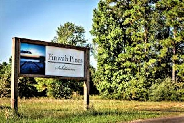 TR 29 Oak Pine Drive, Livingston, TX 77351