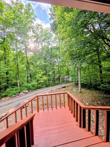 1141 Old Forge Estates, Hiawassee, GA 30546