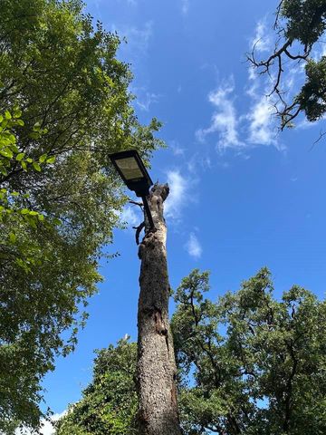 106 FCR 1271, Fairfield, TX 75840