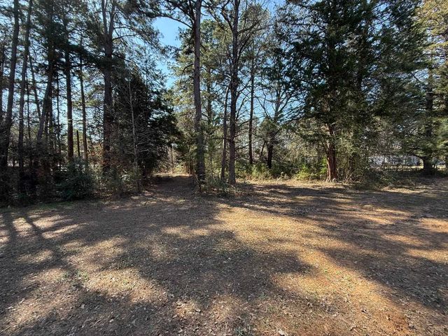 688 FM 555, Gilmer, TX 75645