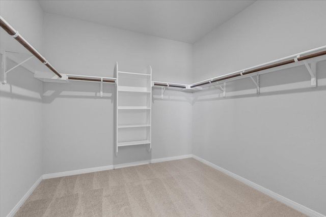 220 Cherry Laurel LN, Kyle, TX 78640