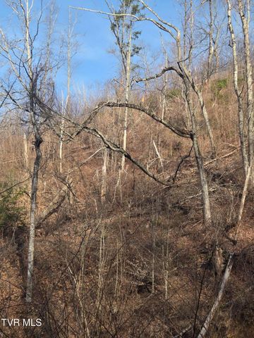 T.B.D Tiger Creek Road, Roan Mountain, TN 37687
