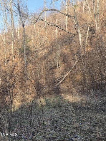 T.B.D Tiger Creek Road, Roan Mountain, TN 37687