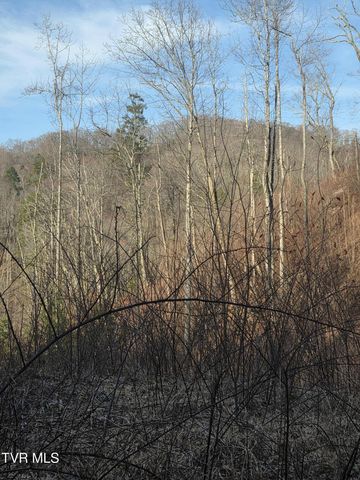 T.B.D Tiger Creek Road, Roan Mountain, TN 37687