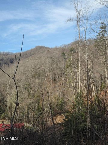 T.B.D Tiger Creek Road, Roan Mountain, TN 37687