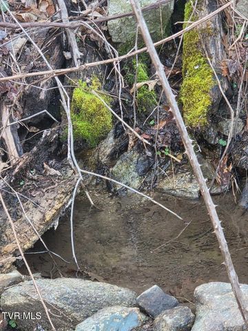 T.B.D Tiger Creek Road, Roan Mountain, TN 37687