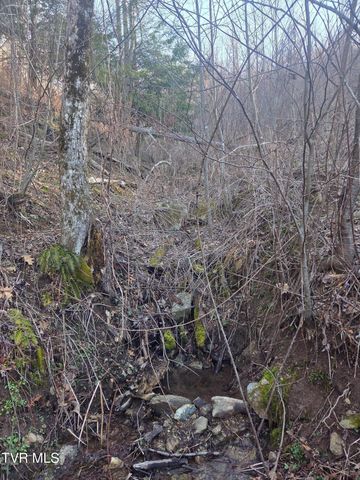 T.B.D Tiger Creek Road, Roan Mountain, TN 37687