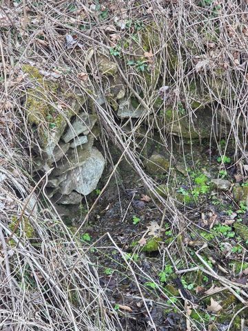 T.B.D Tiger Creek Road, Roan Mountain, TN 37687