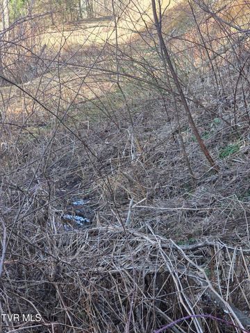 T.B.D Tiger Creek Road, Roan Mountain, TN 37687