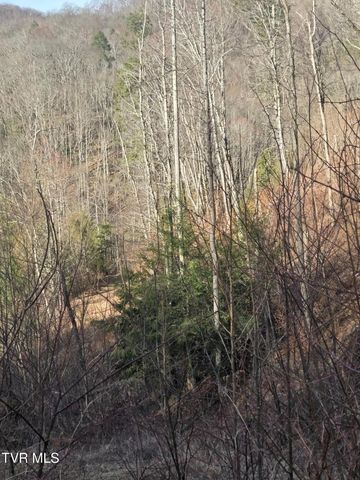 T.B.D Tiger Creek Road, Roan Mountain, TN 37687