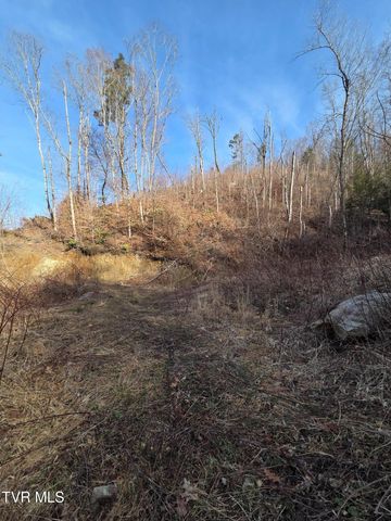 T.B.D Tiger Creek Road, Roan Mountain, TN 37687
