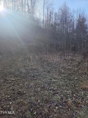 T.B.D Tiger Creek Road, Roan Mountain, TN 37687