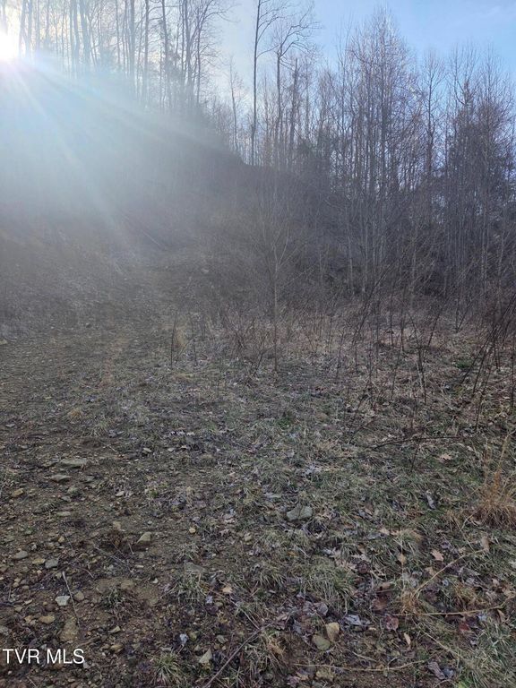 T.B.D Tiger Creek Road, Roan Mountain, TN 37687