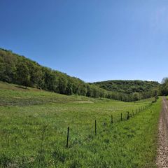 40 Acre Lot Walnut Lane, Richland Center, WI 53581