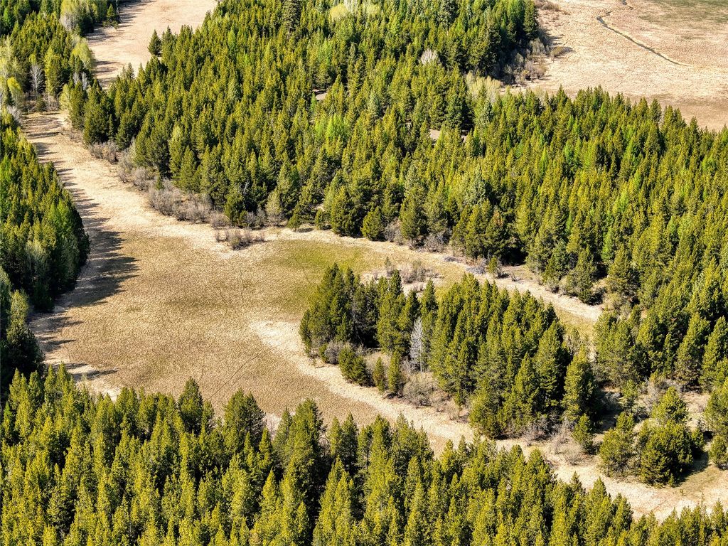 8240 Island Lake Road, Marion, MT 59925 photo 39