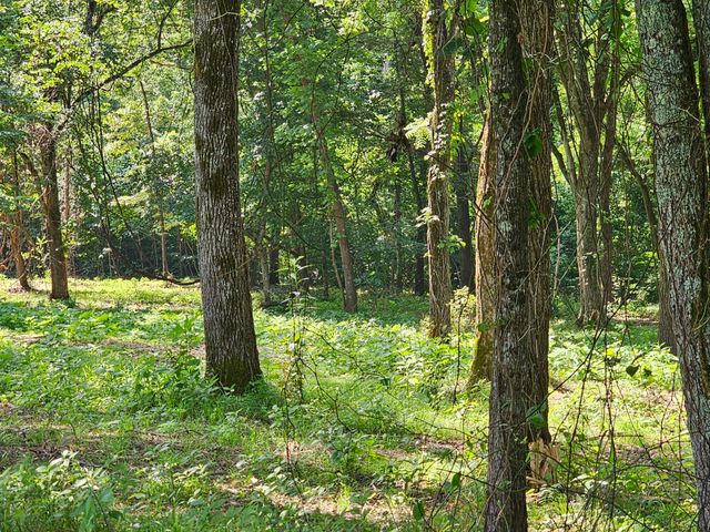 000 State Route Kk, Pottersville, MO 65790