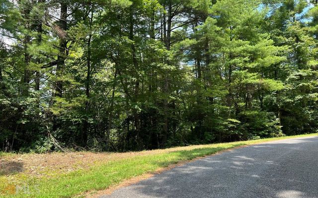 LOT 32 Fires Creek Cove, Hayesville, NC 28904