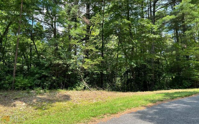 LOT 32 Fires Creek Cove, Hayesville, NC 28904