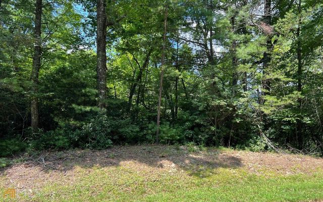 LOT 32 Fires Creek Cove, Hayesville, NC 28904