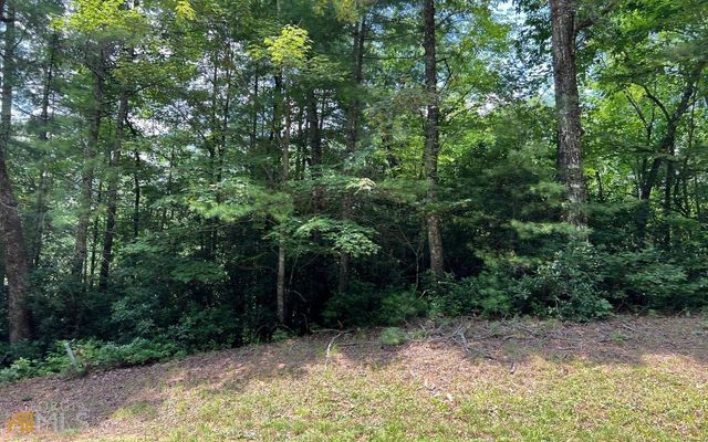 LOT 32 Fires Creek Cove, Hayesville, NC 28904
