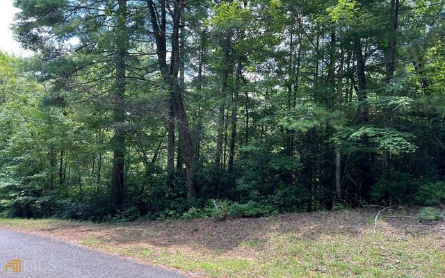 LOT 32 Fires Creek Cove, Hayesville, NC 28904