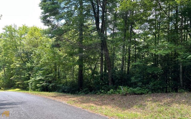 LOT 32 Fires Creek Cove, Hayesville, NC 28904