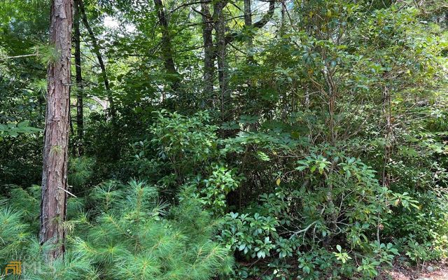 LOT 32 Fires Creek Cove, Hayesville, NC 28904