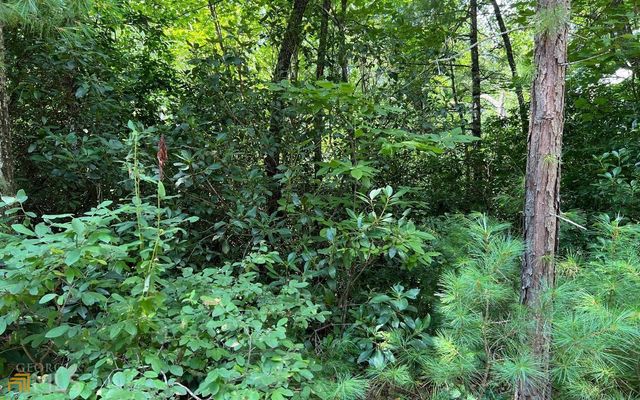 LOT 32 Fires Creek Cove, Hayesville, NC 28904