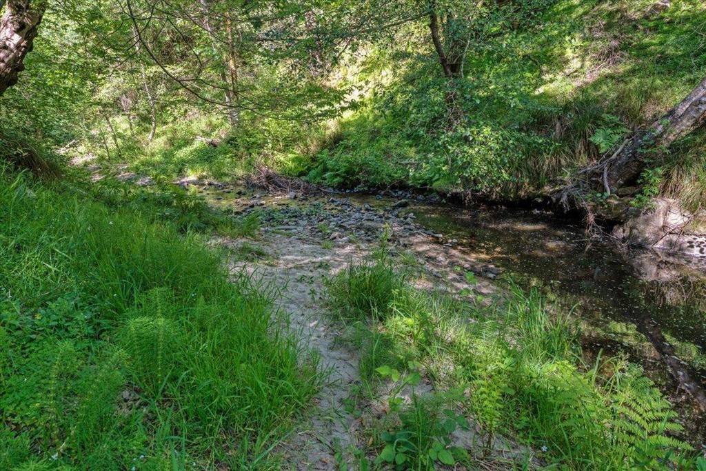 Image 72 of property listing at 230 Isbel Drive, Santa Cruz, CA 95060