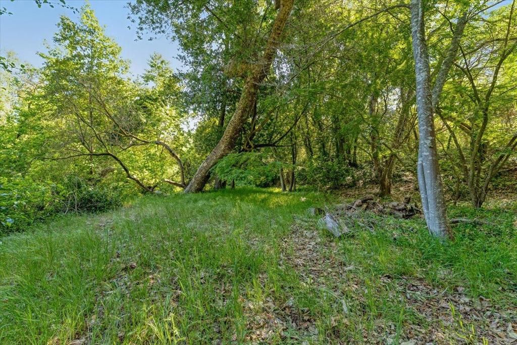 Image 75 of property listing at 230 Isbel Drive, Santa Cruz, CA 95060