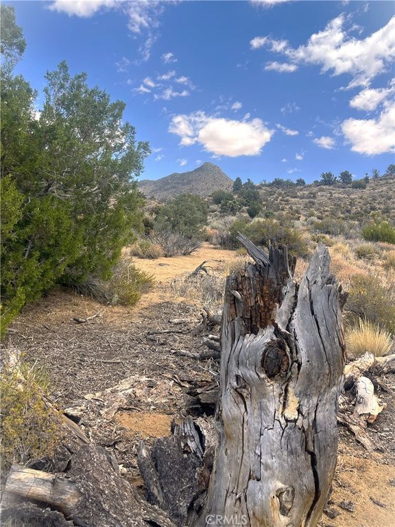 Image 4 of property listing at 0 Pine Hollow Rd., Onyx, CA 93255