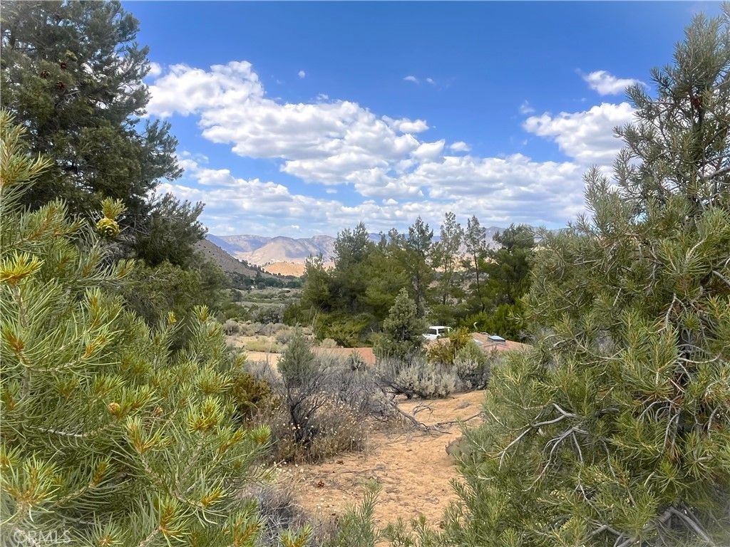 Image 7 of property listing at 0 Pine Hollow Rd., Onyx, CA 93255