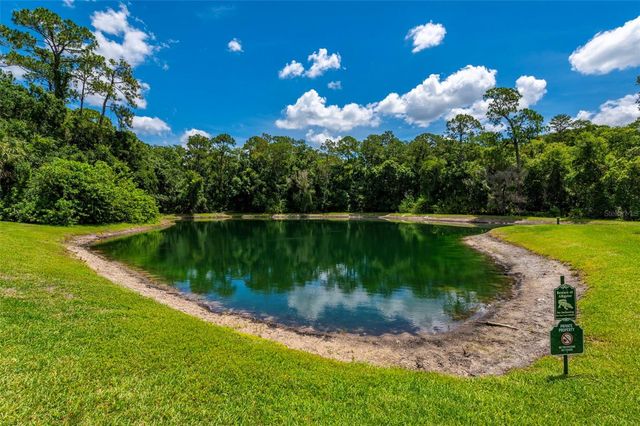 3638 TRAFALGAR WAY 101, Palm Harbor, FL 34685